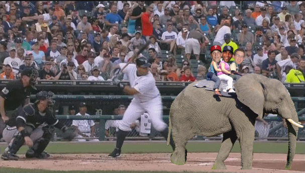 MiggySpankstheElephant